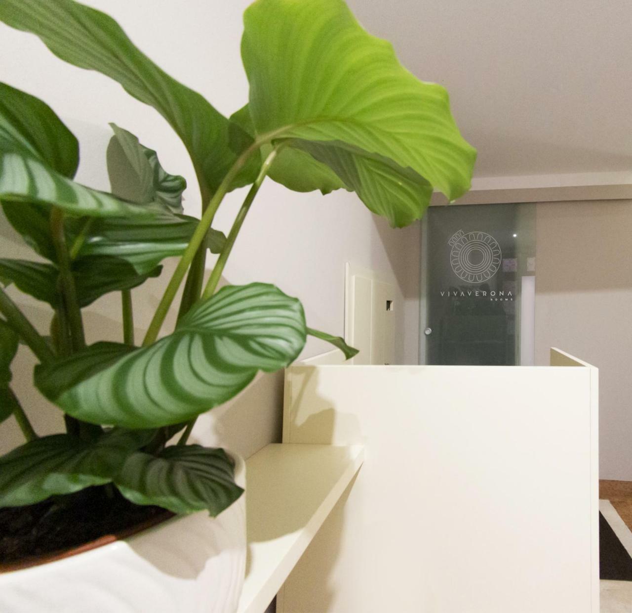 Vivaverona Rooms Dış mekan fotoğraf